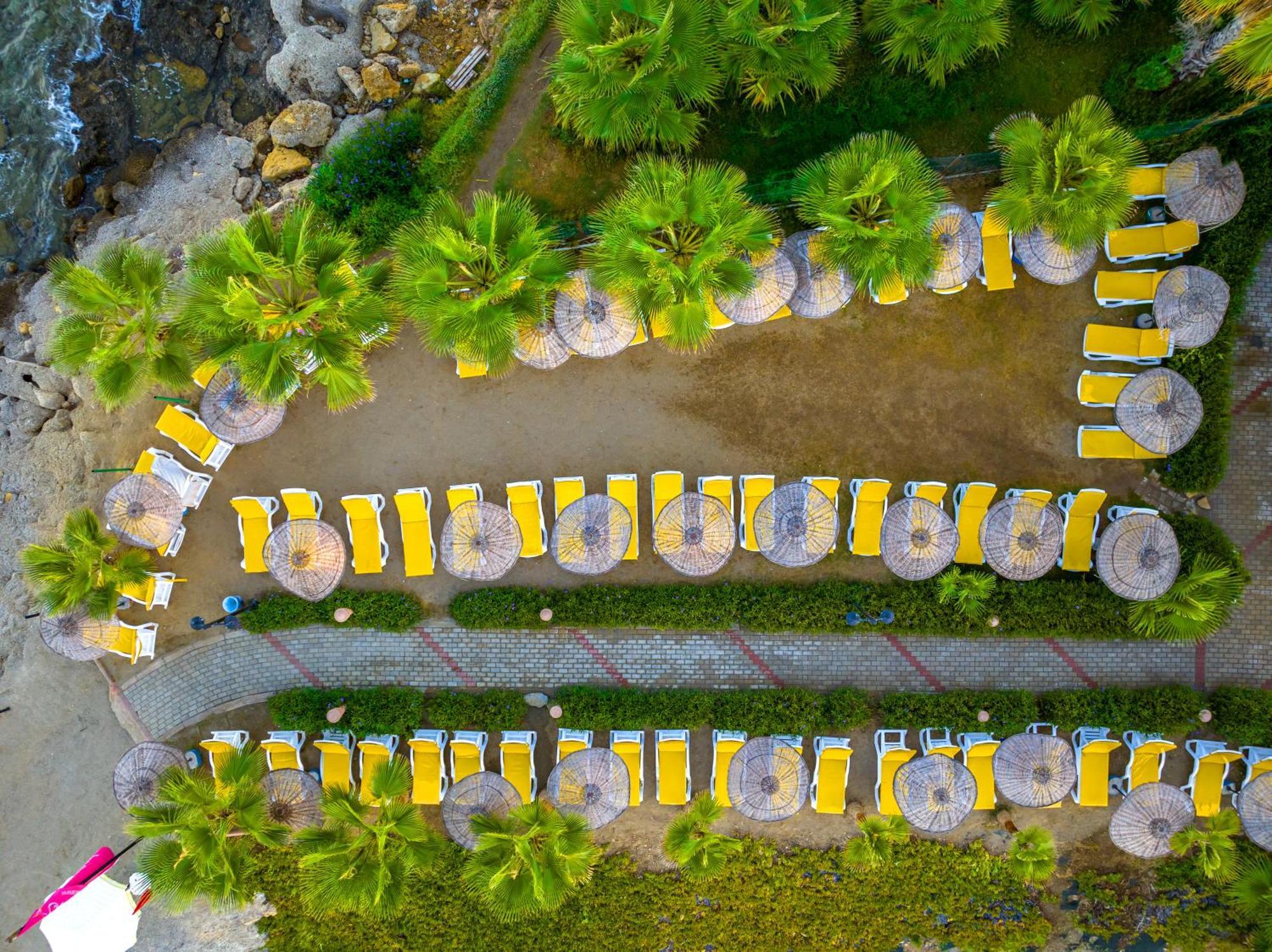 Kolibri Hotel Avsallar Exteriör bild